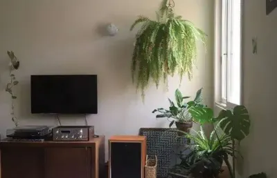 Apartamento 2 dormitórios à venda floresta porto alegre/rs