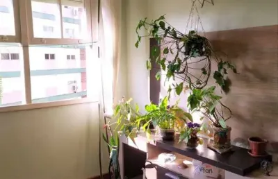 Apartamento de 2 dormitórios com vaga no bairro petrópolis