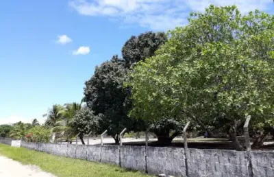 Ref: ter010 - granja à venda, joão pessoa, mumbaba, 2 hect., casa c/ 3 quartos