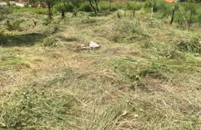 Terreno à venda na alameda dos cedros, vale das acácias, ribeirão das neves por r$ 120.000