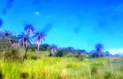 Fazenda à venda na cinco, zona rural, mateus leme por r$ 7.500.000