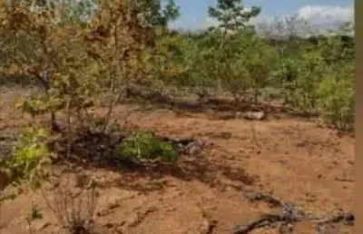 Terreno à venda na padre félix, 75, zona rural, felixlândia por r$ 3.500.000