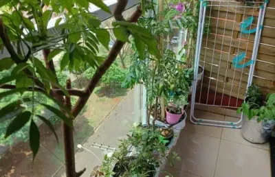 Apartamento com 2 quartos à venda no Nova Aliança, Ribeirão Preto 