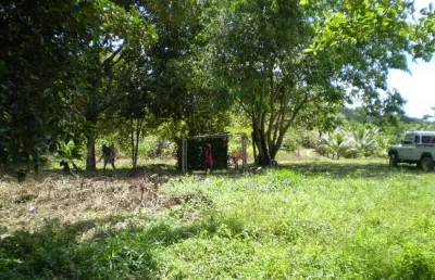 Chácara / sítio com 2 quartos à venda na Zona rural, Nilo Peçanha 