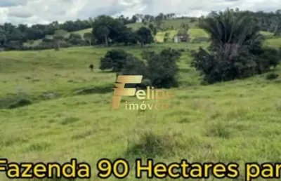 Fazenda para café à venda em eunápolis bahia 90  hectares.