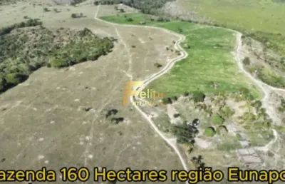 Fazenda para café à venda em eunápolis bahia 160 hectares.