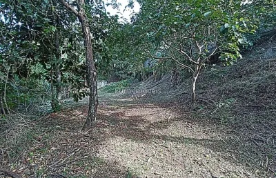 Terreno à venda na Avenida Prefeito Mello Reis, Aeroporto, Juiz de Fora