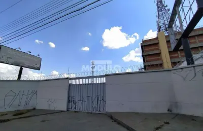 Terreno comercial para alugar na Avenida Ciganos Do Brasil, --, Brasil, Uberlândia
