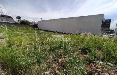 Terreno comercial para alugar na Av Professora Minervina Candida De Oliveira, --, Martins, Uberlândia