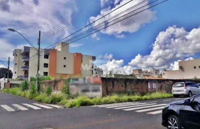 Terreno comercial para alugar na Avenida Brasil, --, Brasil, Uberlândia