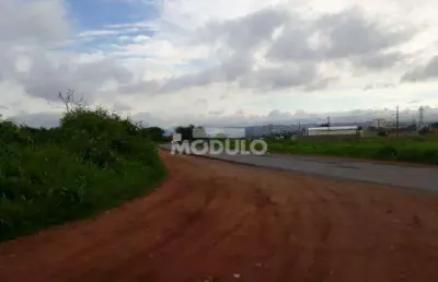 Área para aluguel, luizote de freitas - uberlândia/mg