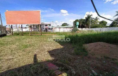 Terreno comercial para alugar na Av Professora Minervina Candida De Oliveira, --, Martins, Uberlândia