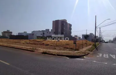 Terreno comercial para alugar na Avenida Dario Fagundes da Costa, --, Novo Mundo, Uberlândia