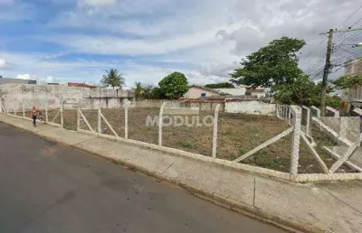 Terreno comercial para alugar na Avenida Afonso Pena, --, Umuarama, Uberlândia