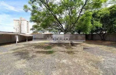 Terreno comercial para alugar na Rua México, --, Martins, Uberlândia