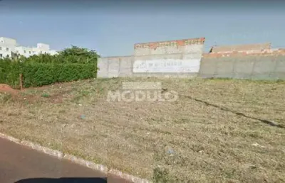 Terreno comercial para alugar na Avenida Seme Simão, --, Laranjeiras, Uberlândia