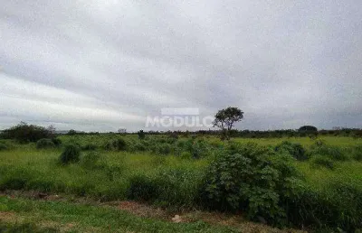 Terreno comercial para alugar na Rodovia BR-365, --, Conjunto Alvorada, Uberlândia