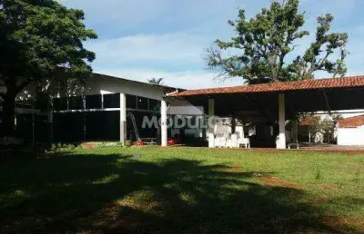 Imóvel comercial para locação no bairro osvaldo rezende