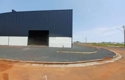 Barracão comercial para locação bairro centro empresarial leste lll