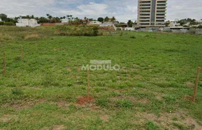 Terreno comercial para locação no bairro morada da colina