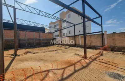 Barracão / Galpão / Depósito para alugar na Rua Professora Maria Célia Cence, --, Shopping Park, Uberlândia