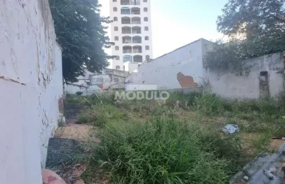 Terreno comercial para alugar na Rua Barão de Camargos, --, Centro, Uberlândia