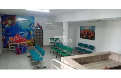 Imóvel comercial para locação no jardim das palmeiras