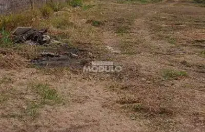 Terreno à venda na Avenida Ubiratan Honório de Castro, --, Santa Mônica, Uberlândia
