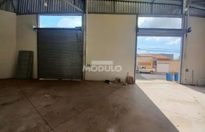 Barracão / Galpão / Depósito para alugar na Alameda Antônio Carlos Vieira da Cunha, --, Granada, Uberlândia