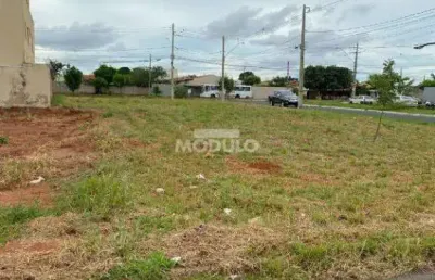 Terreno à venda na Alameda Jardim Holanda, --, Jardim Holanda, Uberlândia