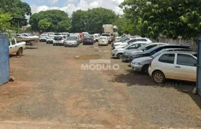 Excelente terreno de 1350 m em avenida no marta helena