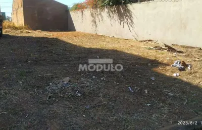 Terreno à venda na Rua Santina Zanatta, --, Novo Mundo, Uberlândia