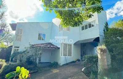 Casa com 4 quartos para alugar na Rua Beijos-Brancos, --, Cidade Jardim, Uberlândia