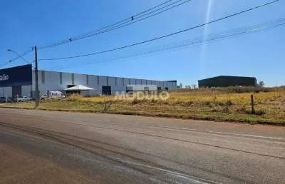 Terreno comercial para locação, bairro loteamento centro empresarial leste iii