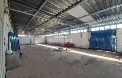 Barracão comercial para locação, bairro marta helena