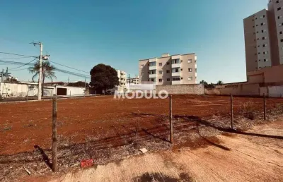Terreno à venda na Rua Los Angeles, --, Novo Mundo, Uberlândia