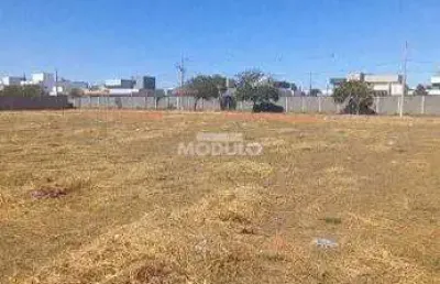 Terreno à venda na Avenida Segismundo Pereira, --, Novo Mundo, Uberlândia