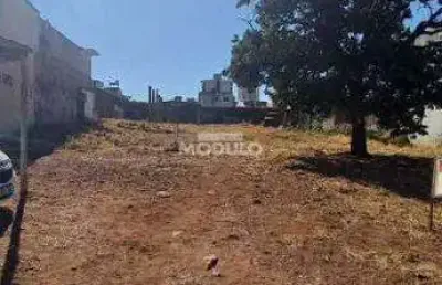 Terreno à venda na Rua Padre Pio, --, Martins, Uberlândia