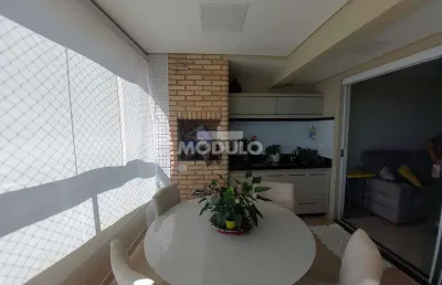 Apartamento à venda, 3 quartos, 2 suítes, 2 vagas, nossa senhora aparecida - uberlândia/mg