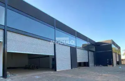 Galpão/depósito/barracão à venda, 2 vagas, luizote de freitas - uberlândia/mg