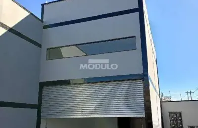 Galpão/depósito/barracão à venda, 2 vagas, vigilato pereira - uberlândia/mg