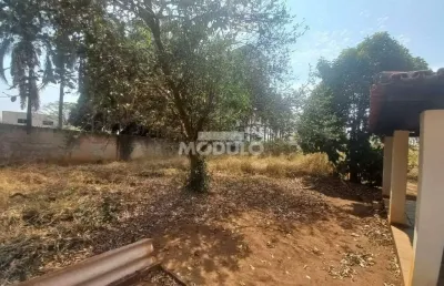 Chacara comercial para locação bairro chácaras tubalina e quartel