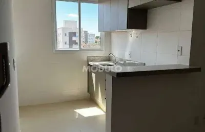 Apartamento à venda, 2 quartos, 1 suíte, 2 vagas, santa mônica - uberlândia/mg