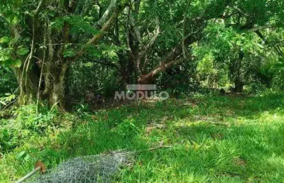 Chácara / sítio à venda na Avenida Rio Acima, --, Shopping Park, Uberlândia