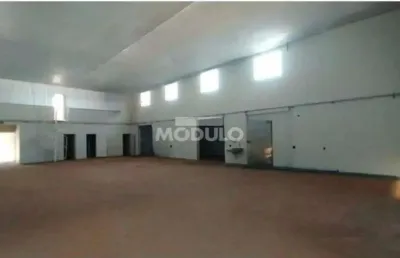 Barracão / Galpão / Depósito para alugar na Rua Cheyenne, --, Novo Mundo, Uberlândia