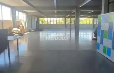 Laje comercial para locação, bairro granja marileusa