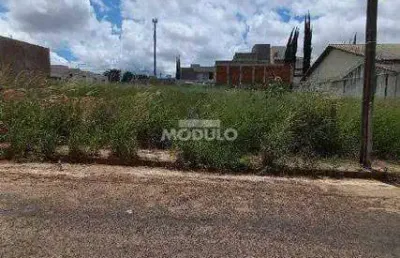 Terreno à venda na Rua Tapuios, --, Saraiva, Uberlândia