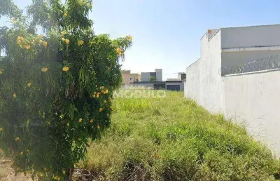 Terreno à venda na Rua Leonel Henrique Vitorino, --, Novo Mundo, Uberlândia