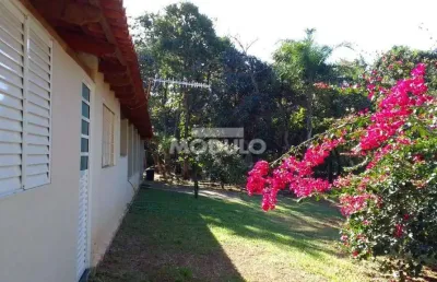 Chácara / sítio à venda na Rodovia BR-497, --, Chácaras Eldorado, Uberlândia