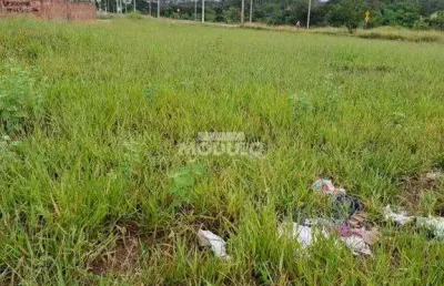 Terreno à venda na Rua Pastor Manoel Rosa Damaso, --, Laranjeiras, Uberlândia